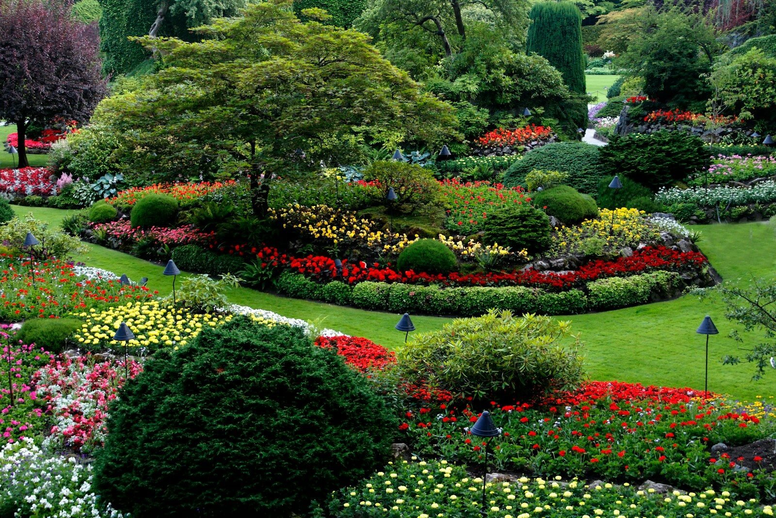 Landscaped garden in Perth