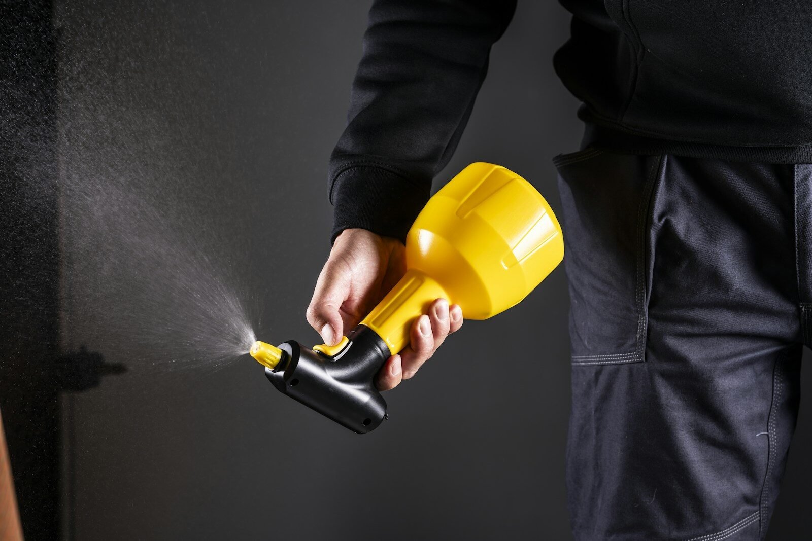 Pest control spraying in Perth